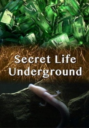 Секреты подземной жизни / Secret Life Underground (2015)