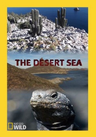 Пустынное море / The Desert Sea (2016) National Geographic